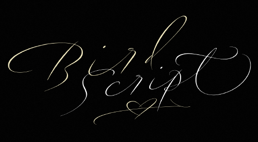 bird script photo bird script 30 of the most beautiful typeface designs released last month (April)
