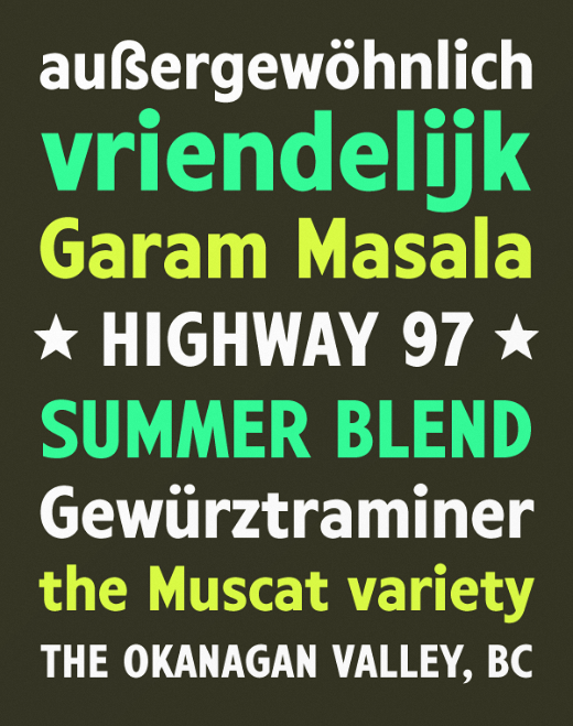 harvey photo harvey 28 of the most beautiful typefaces released last month