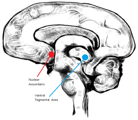 0m9xiDXit0DpDES3Y photo 0m9xiDXit0DpDES3Y Listen while you work: What music does to your brain
