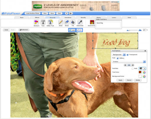 Screen Shot 2014 02 15 at 1.19.29 AM 520x410 photo Screen Shot 2014 02 15 at 1.19.29 AM 520x410 The 9 best browser based photo editing tools available today
