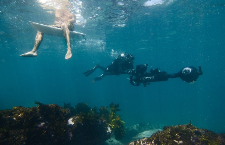 bondi1 730x470 Google is capturing underwater Street View photos around Sydneys harbor and coastline