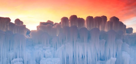 icesculptureheader_173682053
